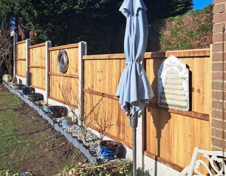 cfe0b386-4b5c-4eec-ad76-774018efd064